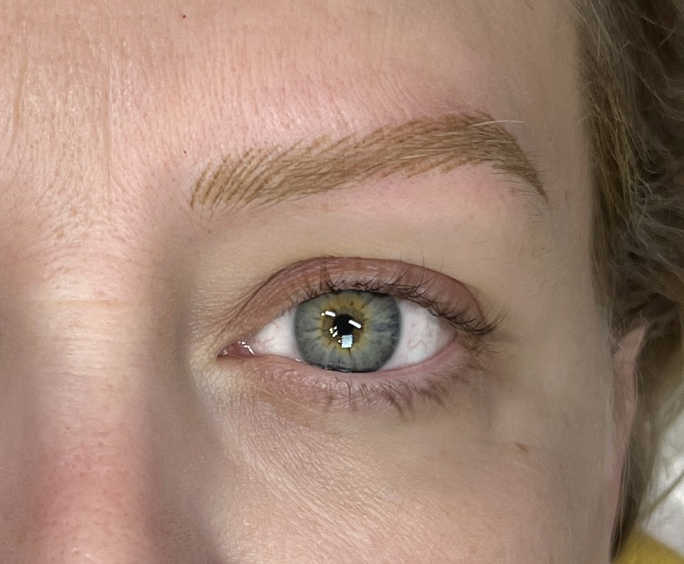 Eyebrow Consultation Buffalo NY
